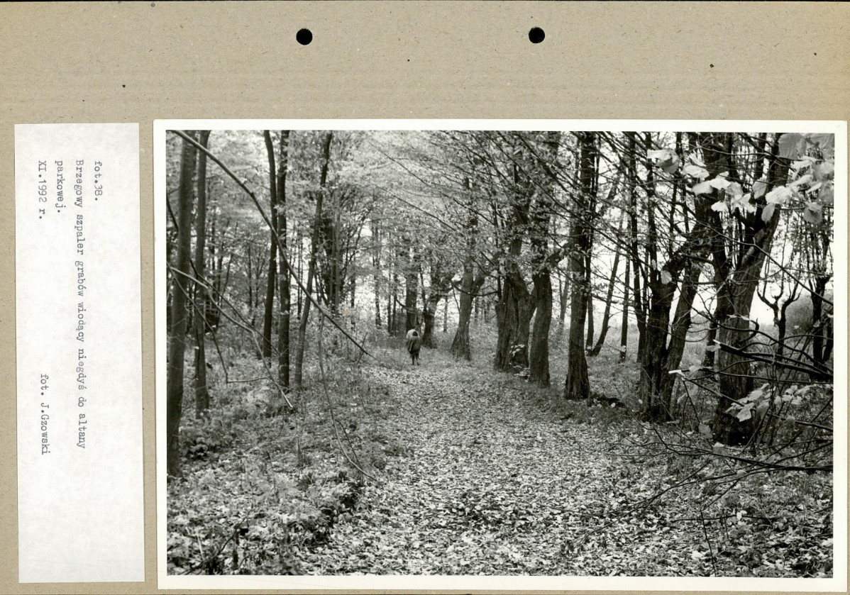 EP - Ewidencja parkowa, skan nr 67