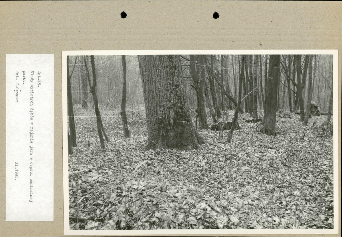 Ewidencja parkowa, skan nr 52