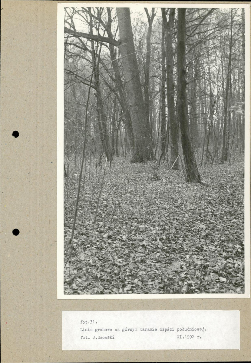 Ewidencja parkowa, skan nr 55