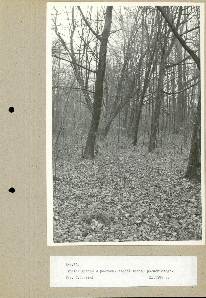 Ewidencja parkowa, skan nr 56