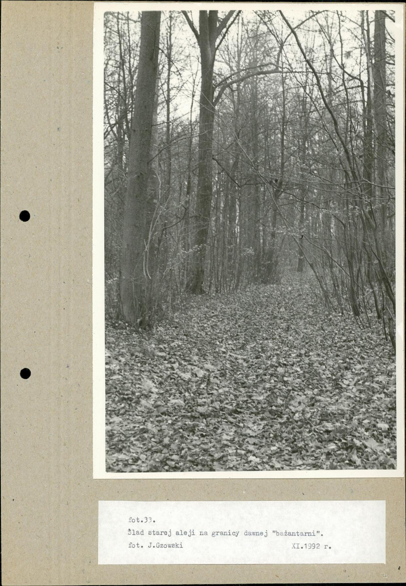 Ewidencja parkowa, skan nr 57