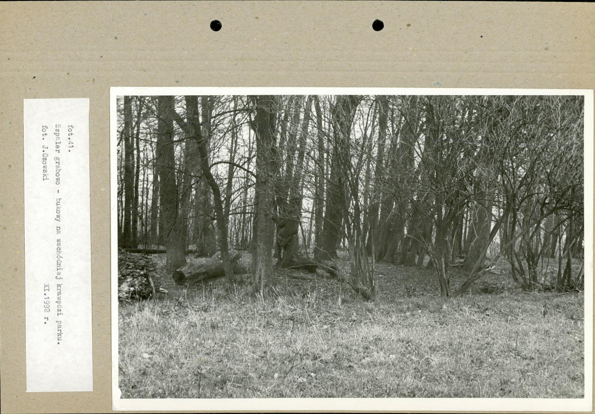 Ewidencja parkowa, skan nr 65
