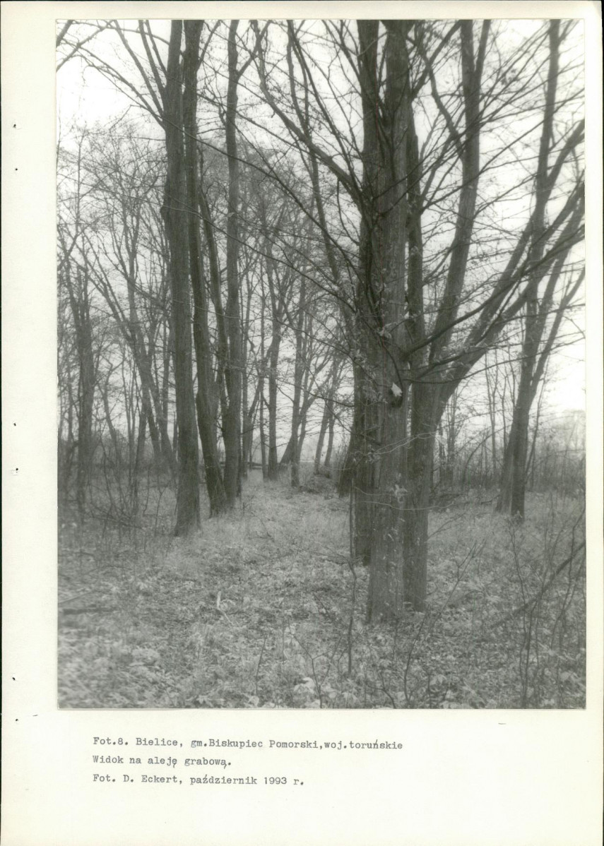 Ewidencja parkowa, skan nr 33