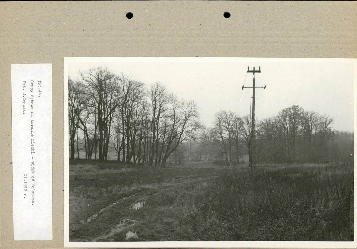 Ewidencja parkowa, skan nr 68