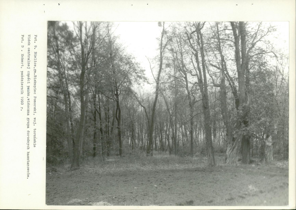 Ewidencja parkowa, skan nr 34