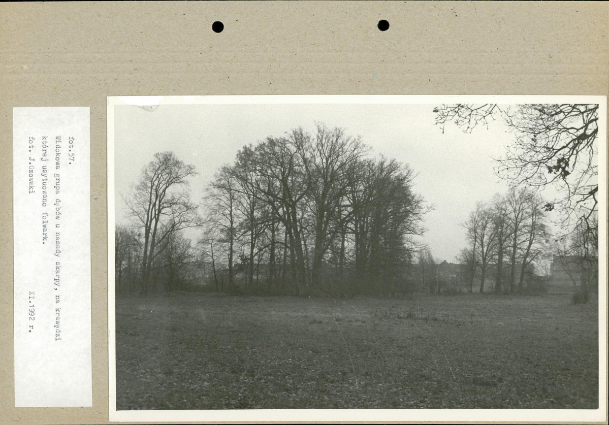 Ewidencja parkowa, skan nr 81