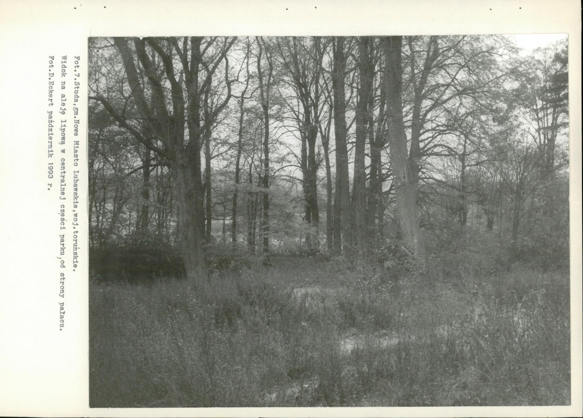 Ewidencja parkowa, skan nr 29