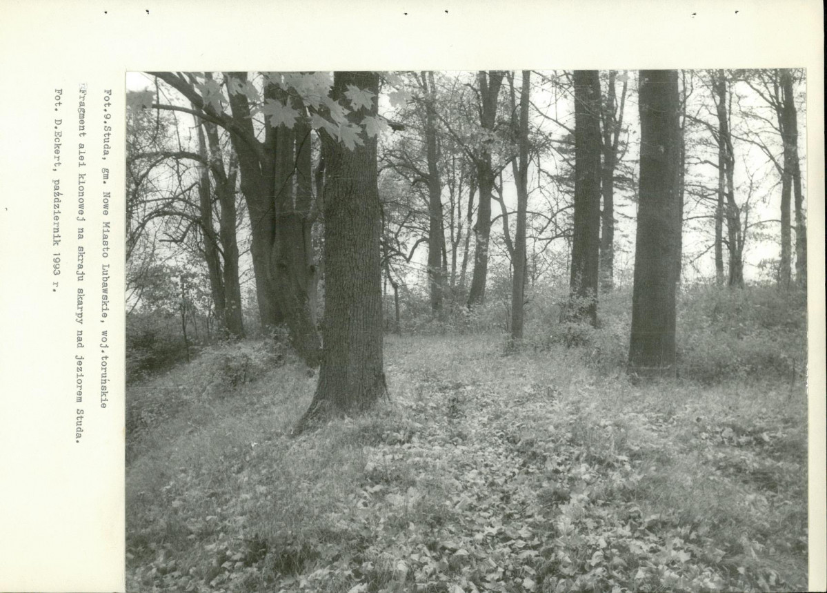 Ewidencja parkowa, skan nr 31