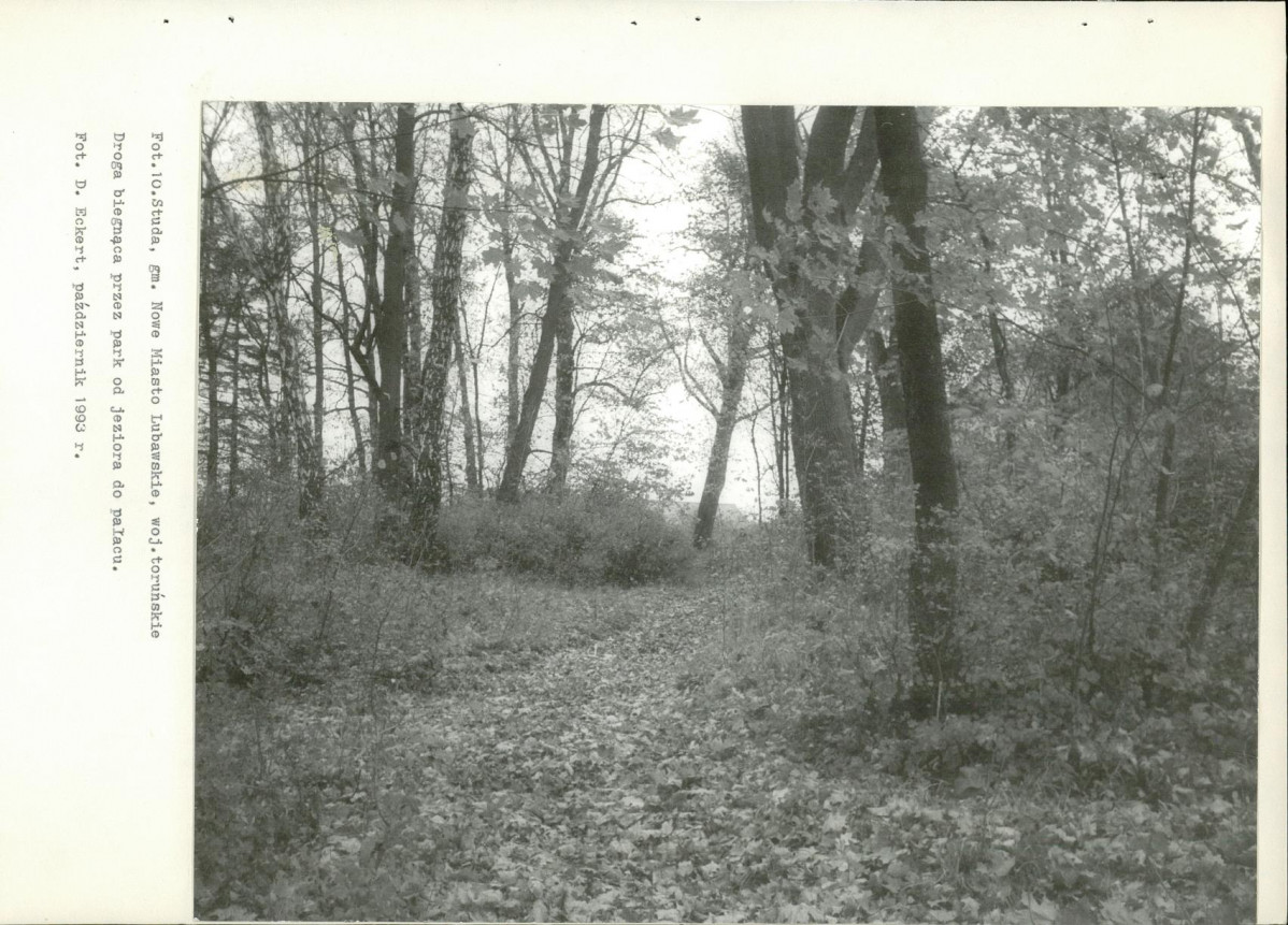 Ewidencja parkowa, skan nr 32
