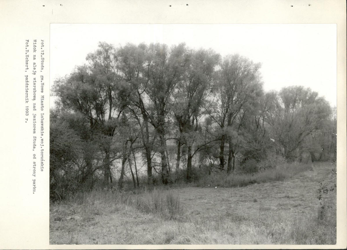 Ewidencja parkowa, skan nr 34