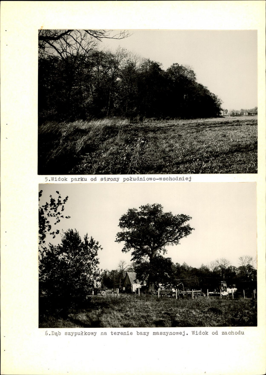 Ewidencja parkowa, skan nr 32