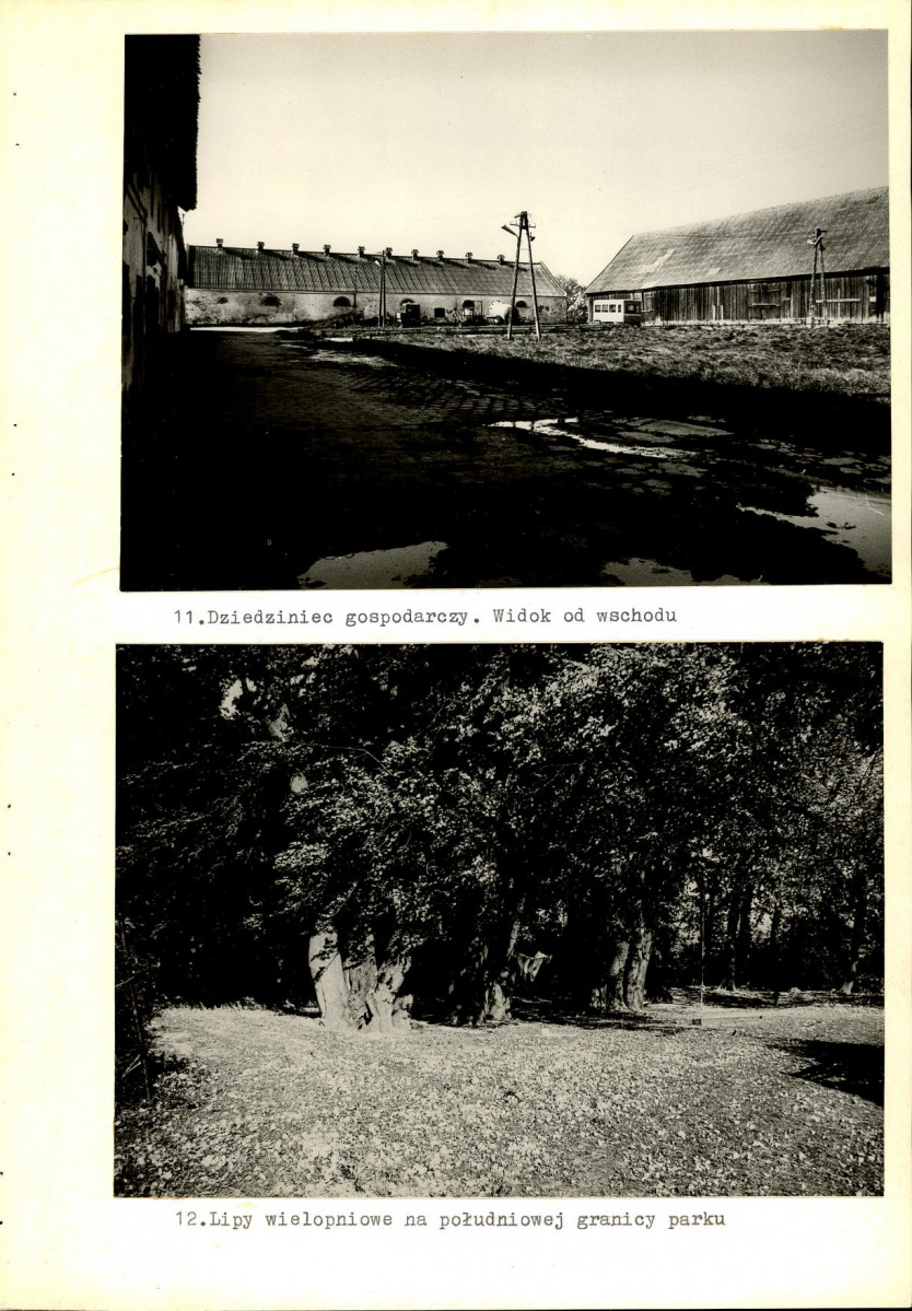Ewidencja parkowa, skan nr 35