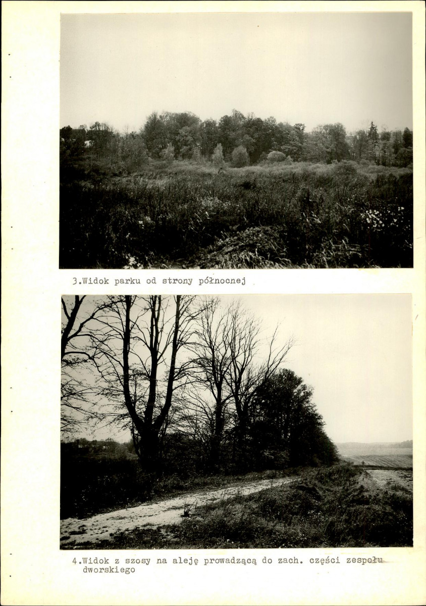 Ewidencja parkowa, skan nr 42
