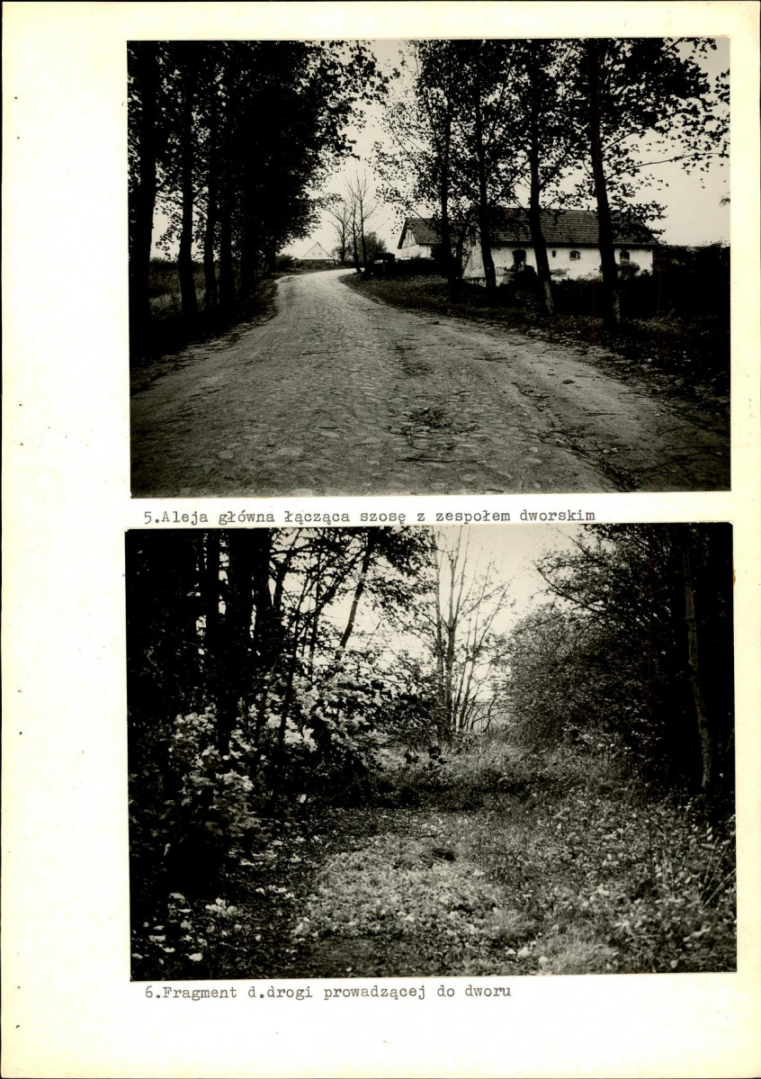 Ewidencja parkowa, skan nr 43