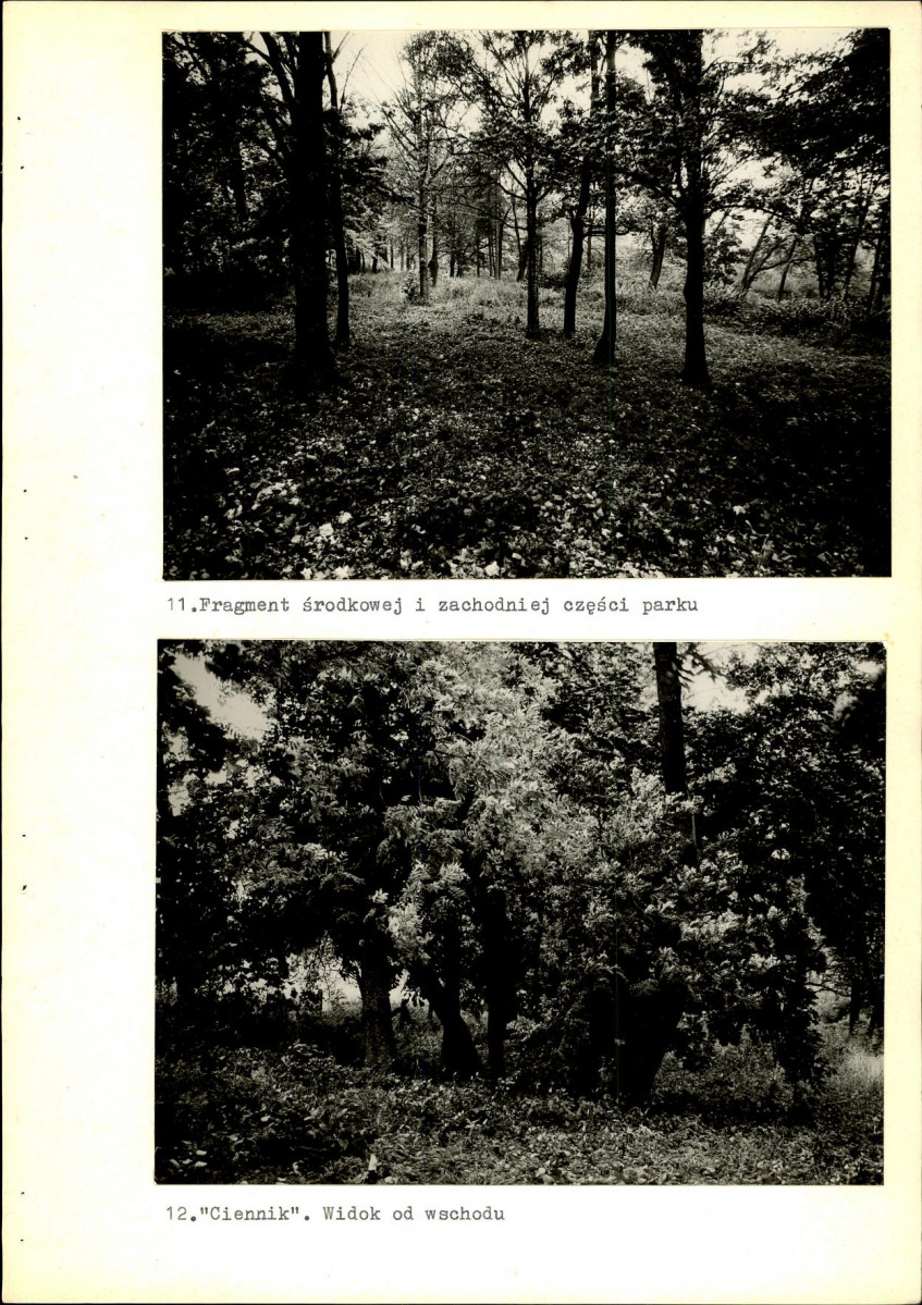 Ewidencja parkowa, skan nr 46