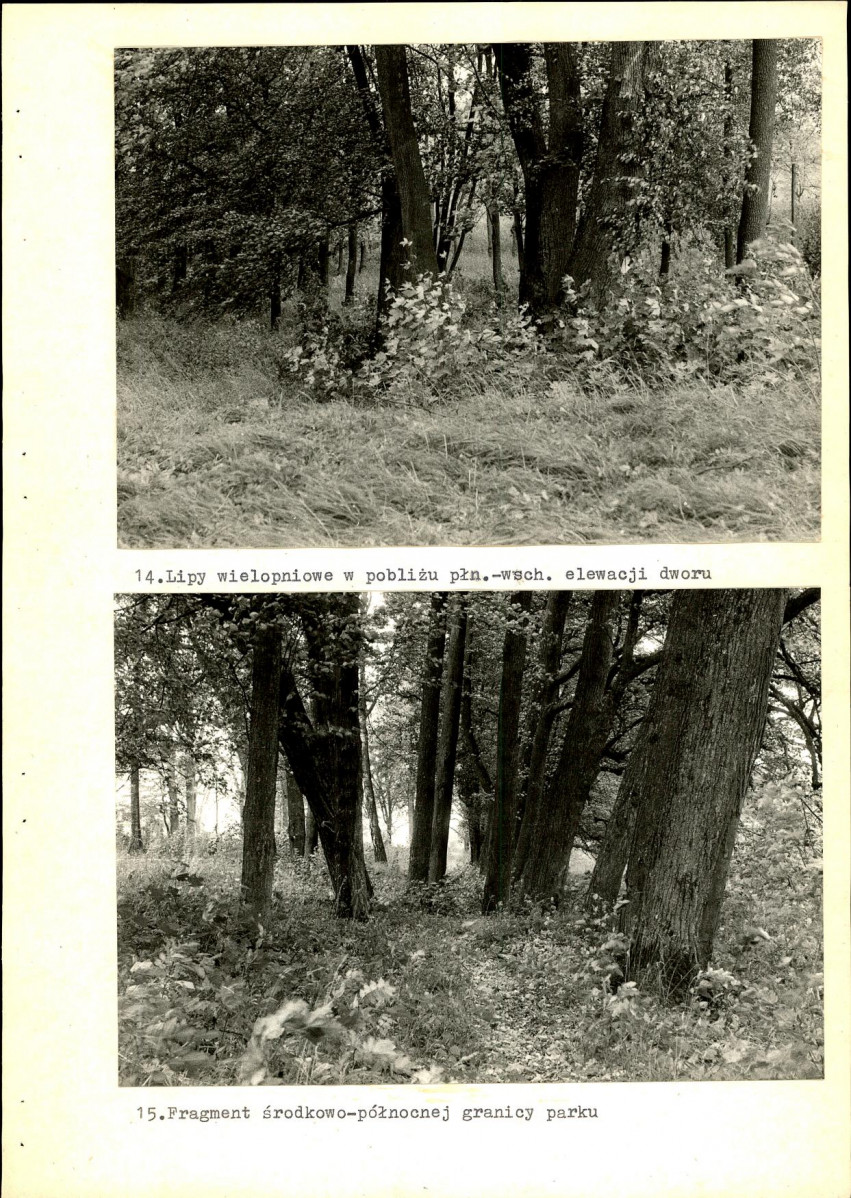 Ewidencja parkowa, skan nr 48