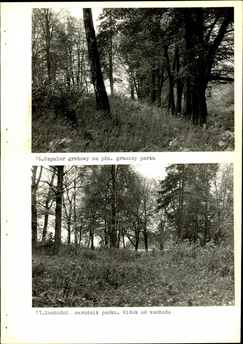 Ewidencja parkowa, skan nr 49