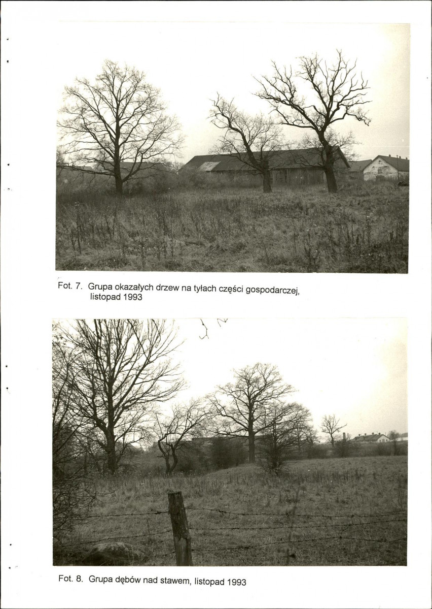 Ewidencja parkowa, skan nr 36