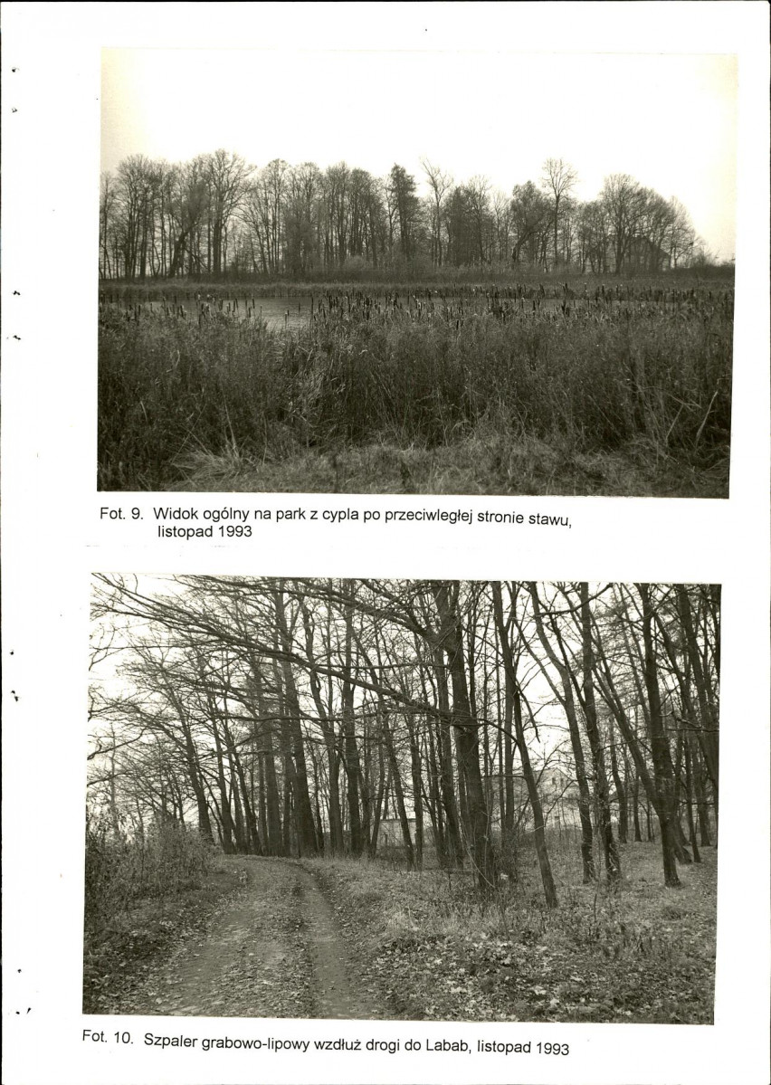 Ewidencja parkowa, skan nr 37