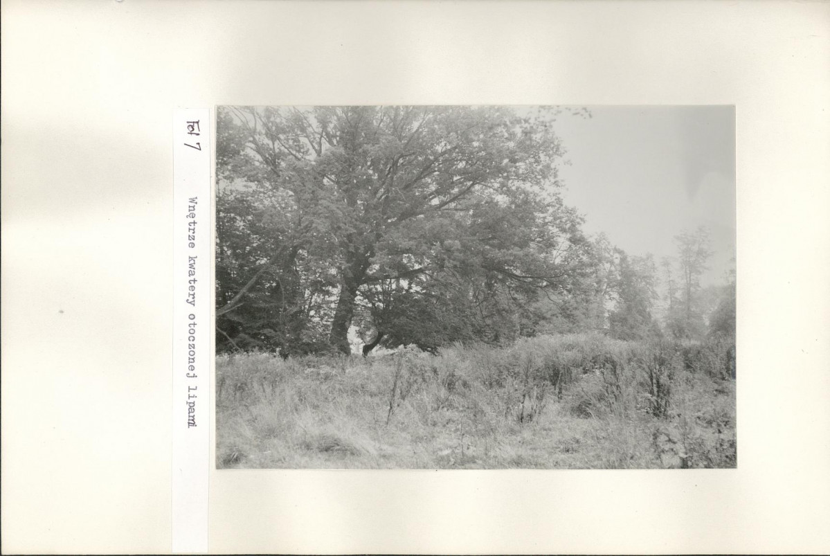 Ewidencja parkowa, skan nr 37