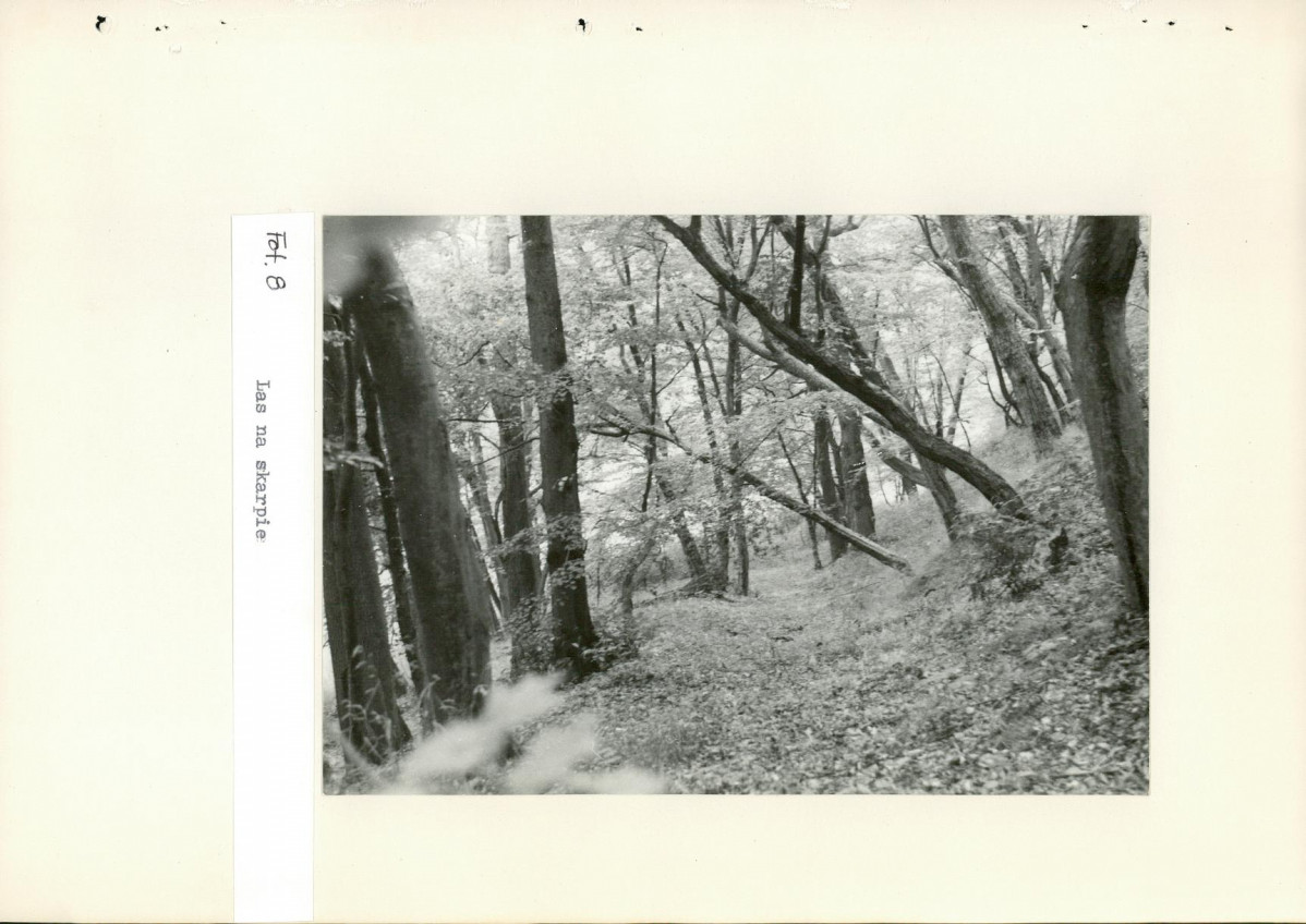 Ewidencja parkowa, skan nr 38