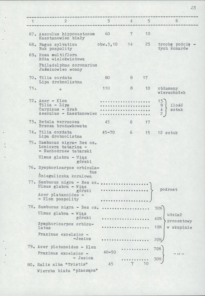 Ewidencja parkowa, skan nr 31