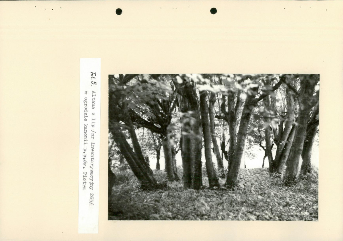 Ewidencja parkowa, skan nr 69