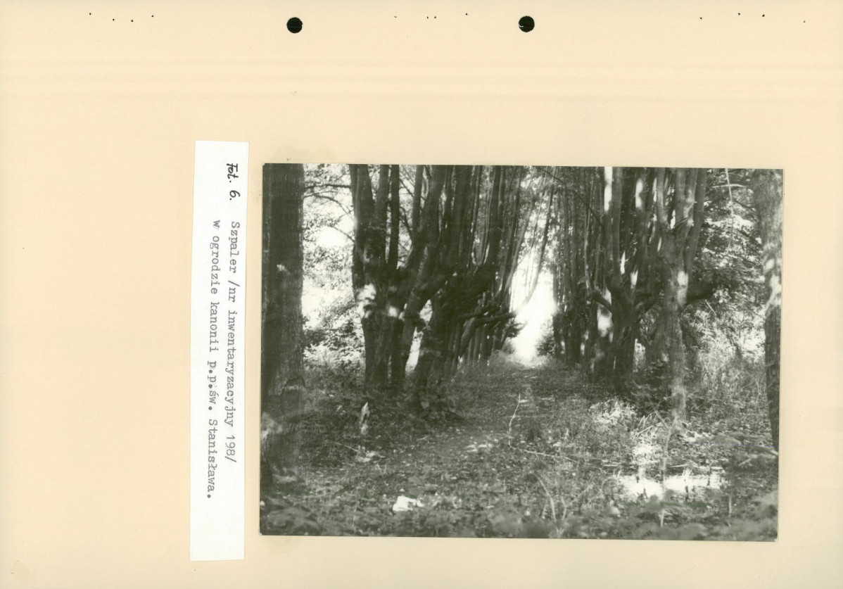 Ewidencja parkowa, skan nr 70