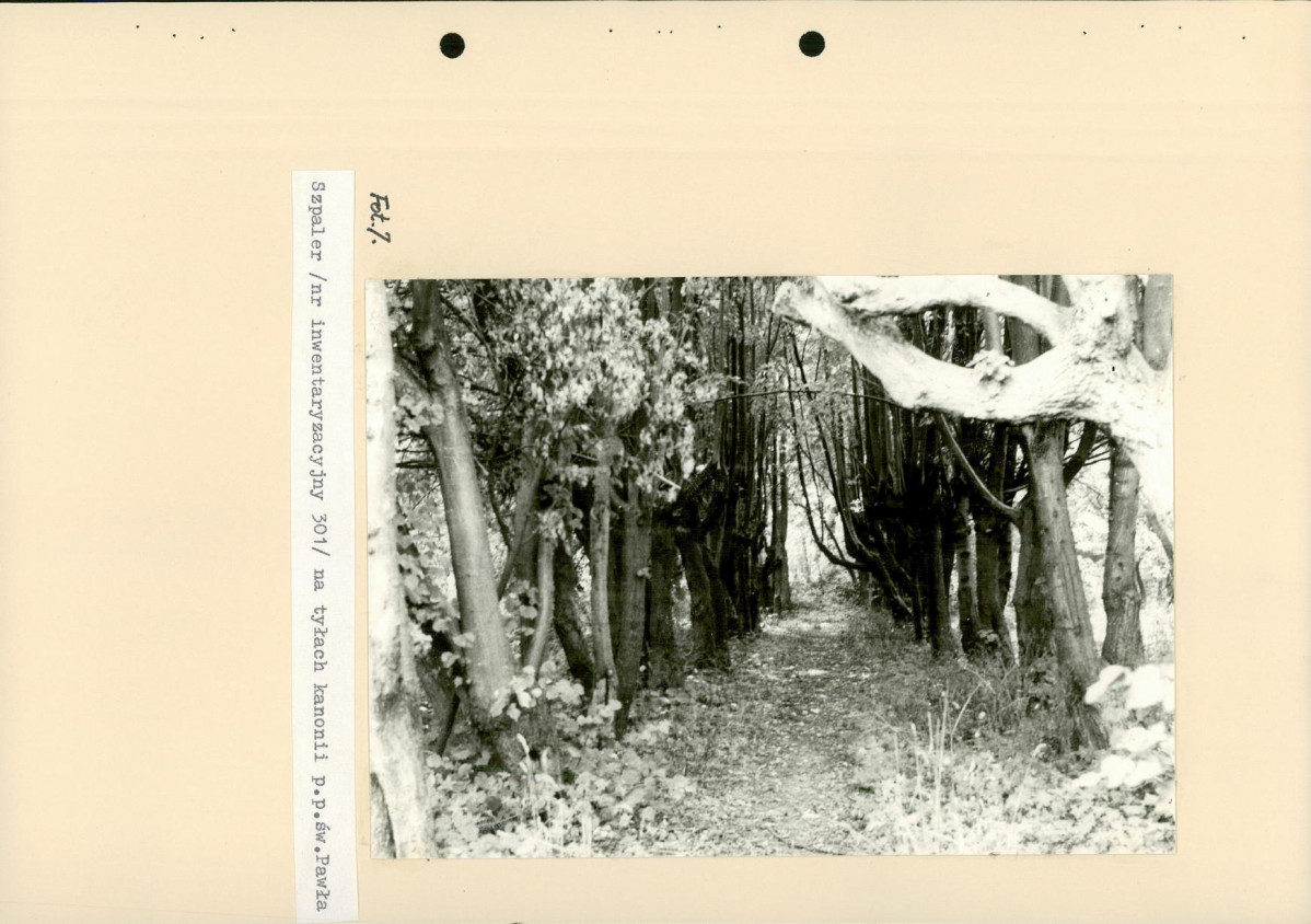 Ewidencja parkowa, skan nr 71