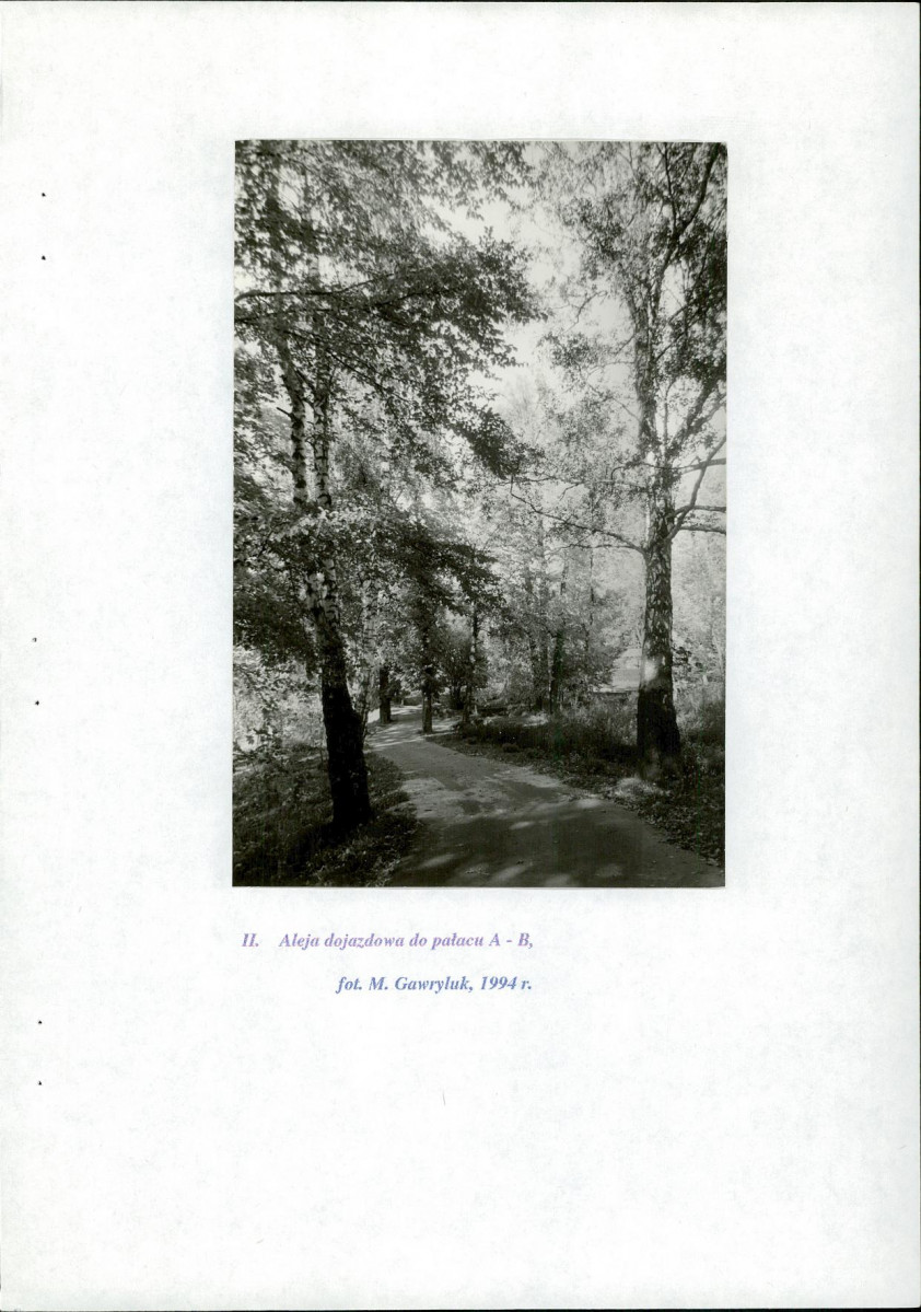 Ewidencja parkowa, skan nr 50