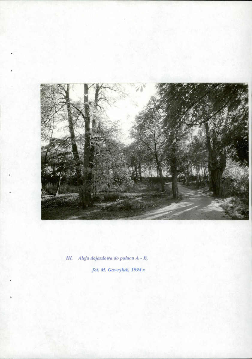 Ewidencja parkowa, skan nr 51