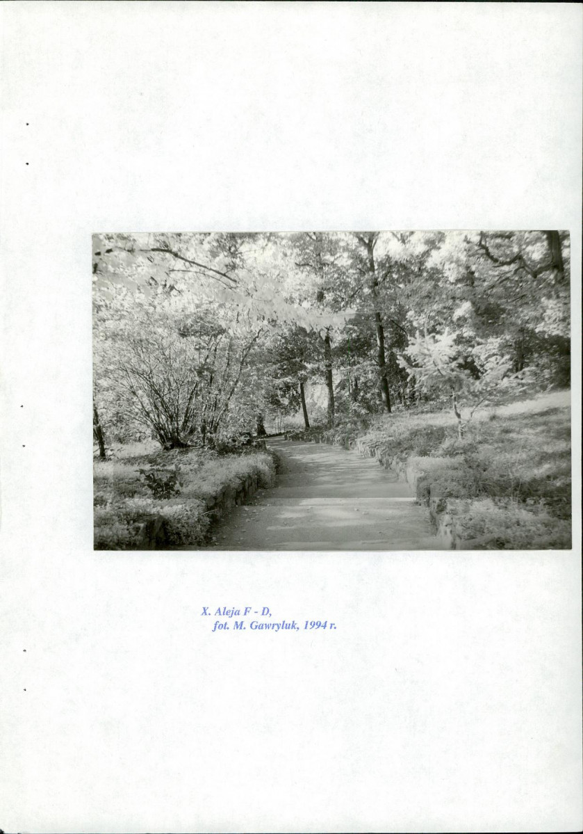Ewidencja parkowa, skan nr 58