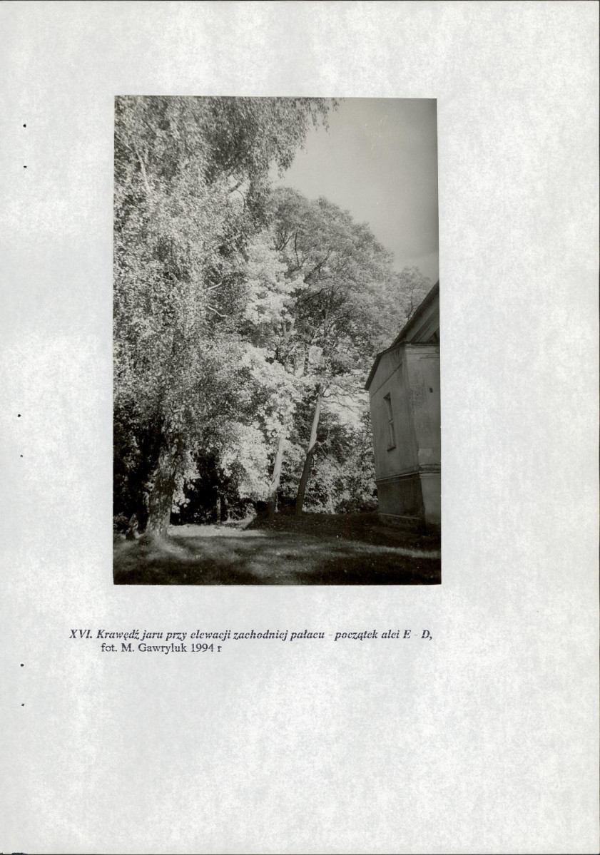 Ewidencja parkowa, skan nr 65