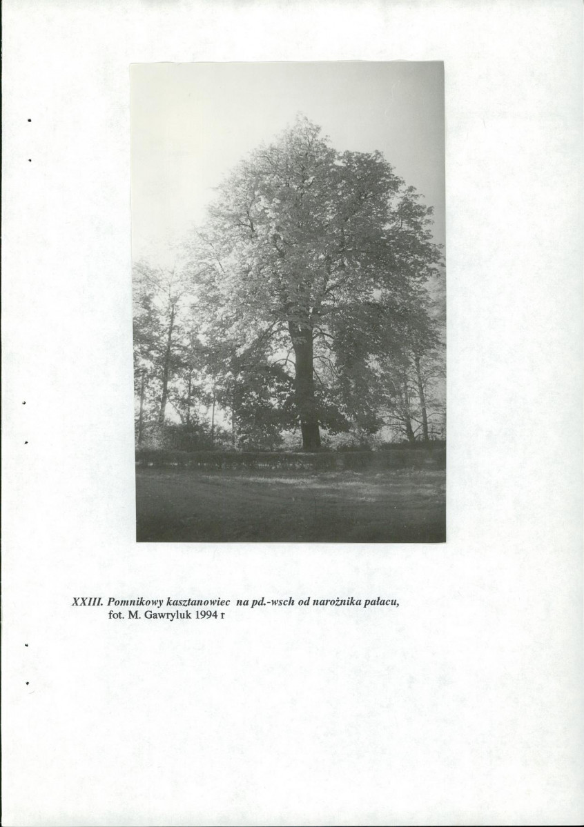 Ewidencja parkowa, skan nr 72