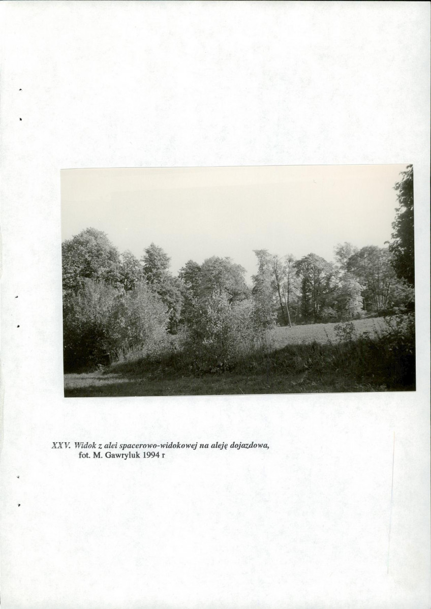 Ewidencja parkowa, skan nr 74