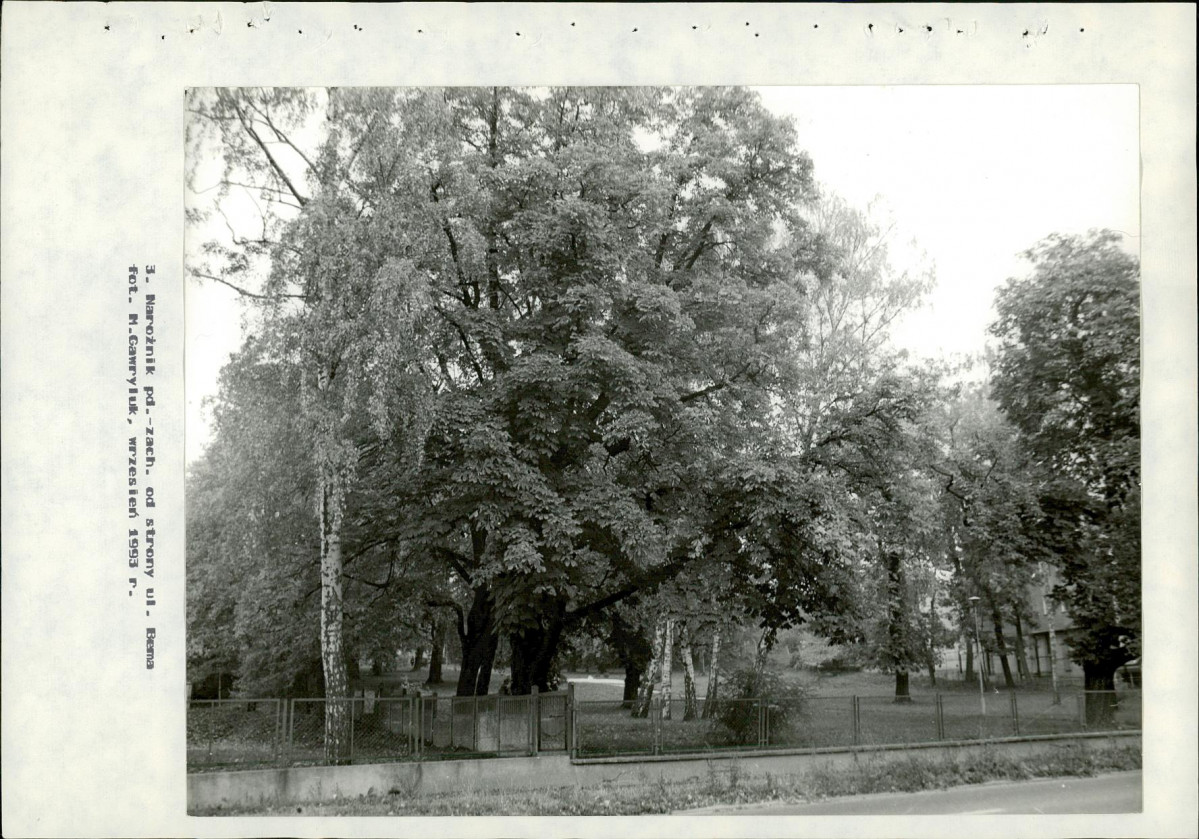 Ewidencja parkowa, skan nr 41