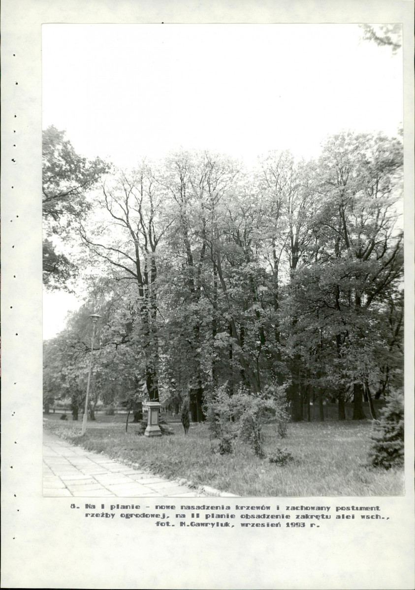 Ewidencja parkowa, skan nr 46