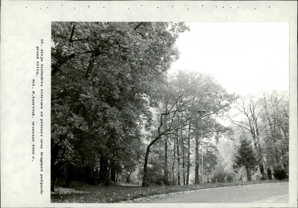 Ewidencja parkowa, skan nr 50