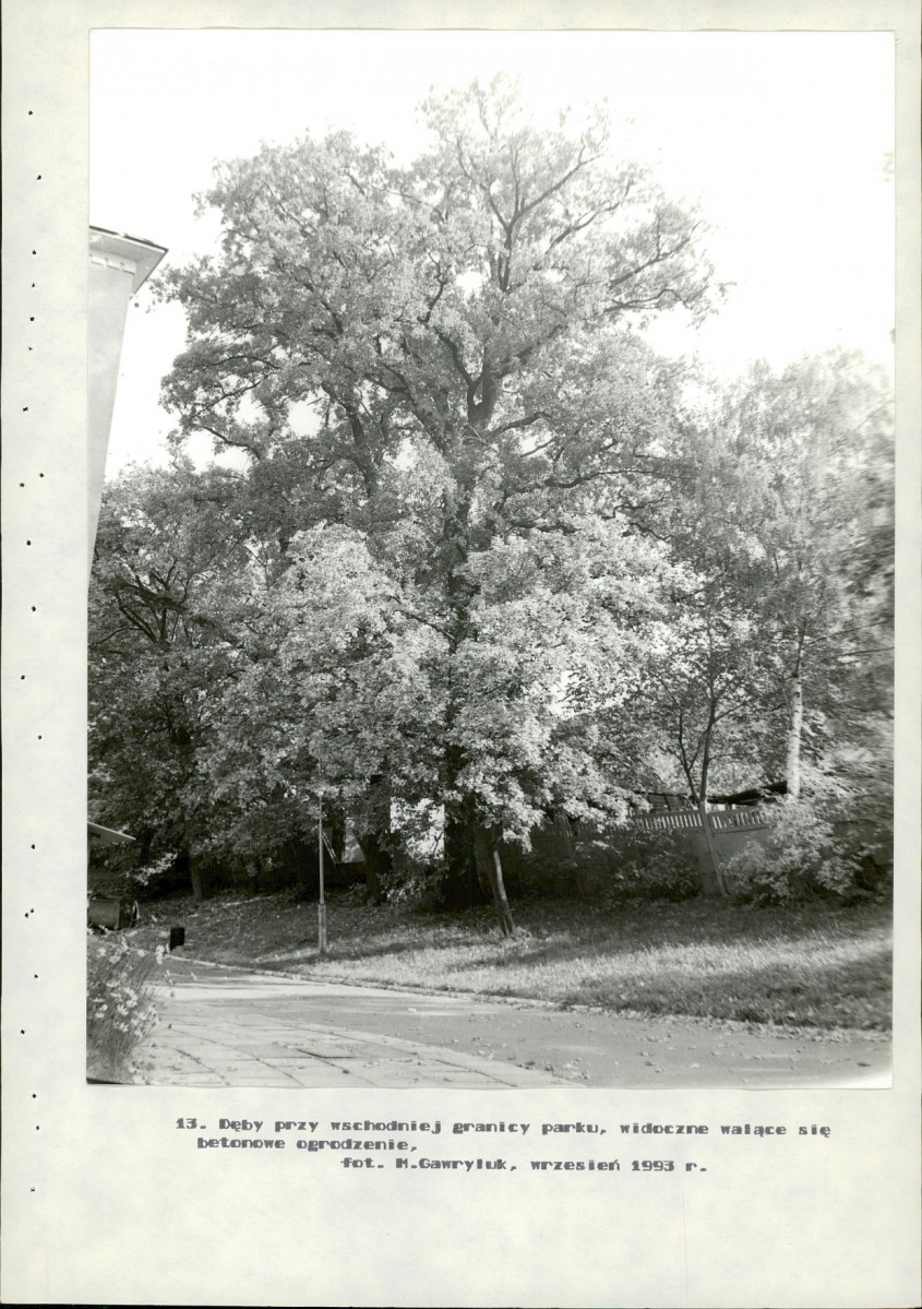 Ewidencja parkowa, skan nr 51