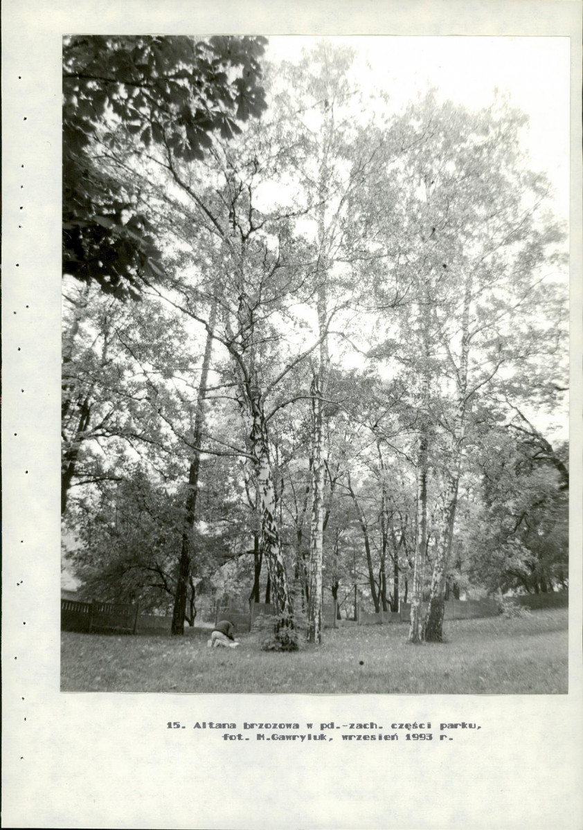 Ewidencja parkowa, skan nr 53