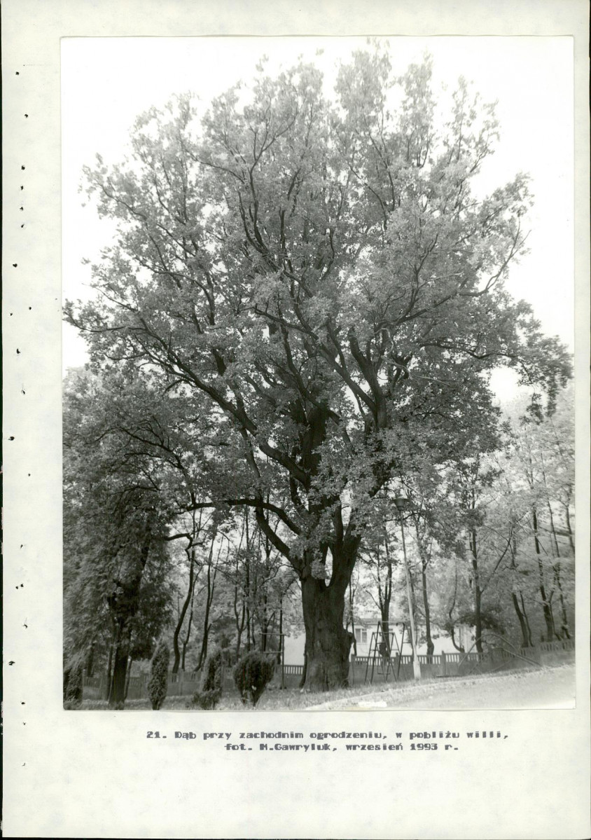 Ewidencja parkowa, skan nr 59