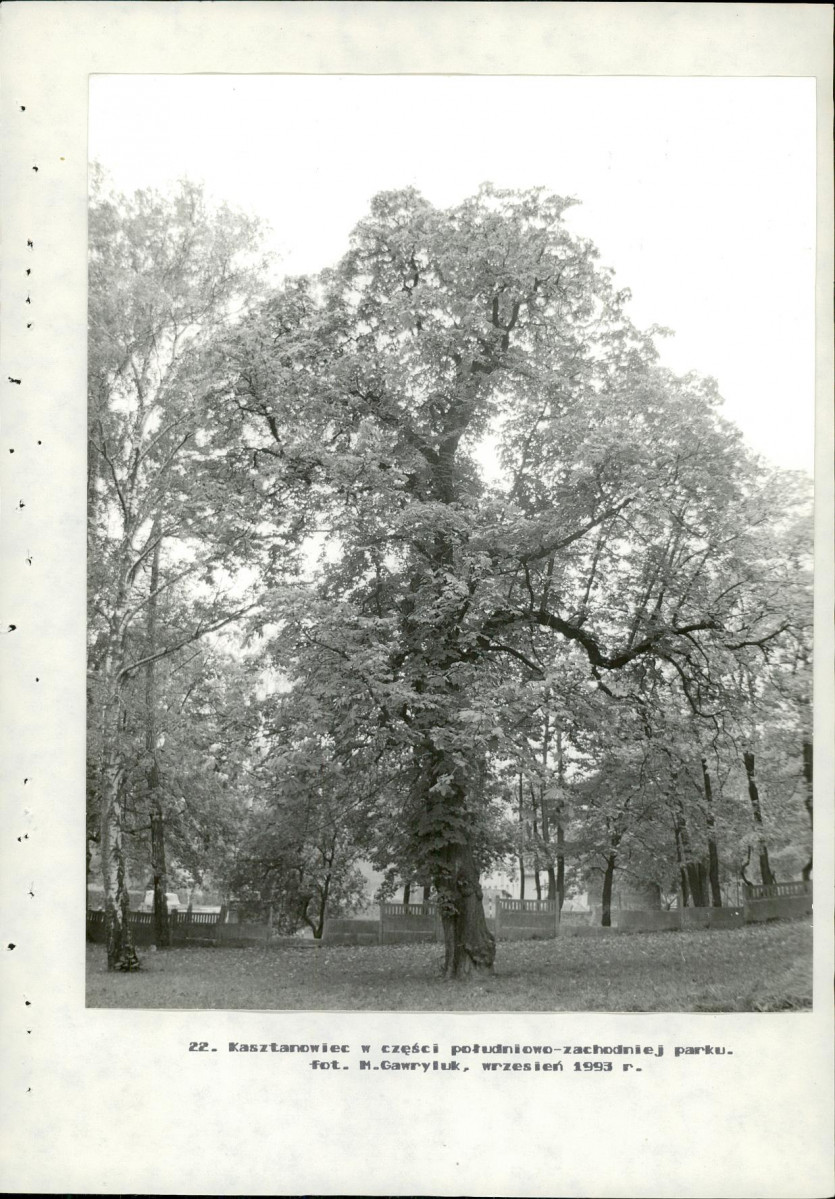 Ewidencja parkowa, skan nr 60