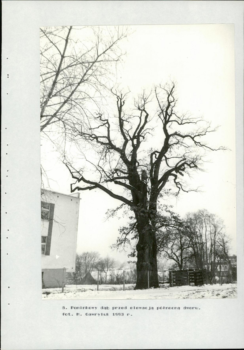 Ewidencja parkowa, skan nr 41