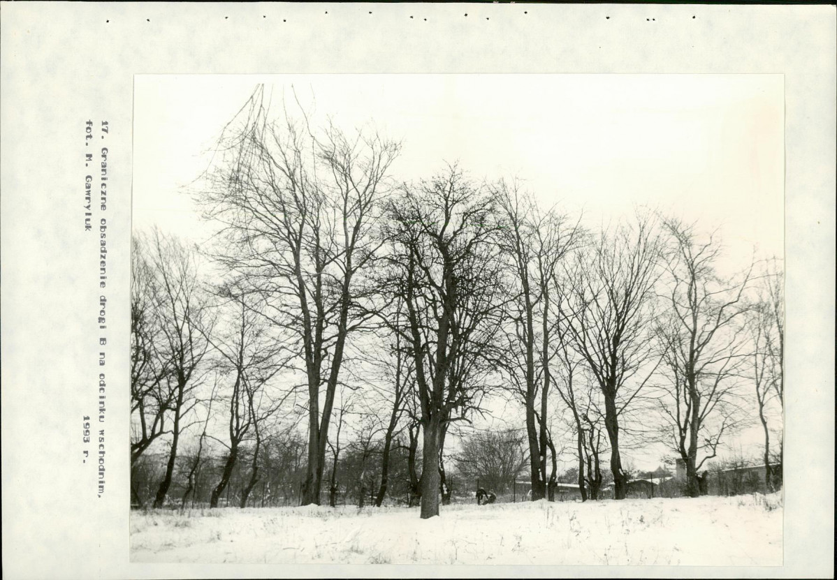Ewidencja parkowa, skan nr 50