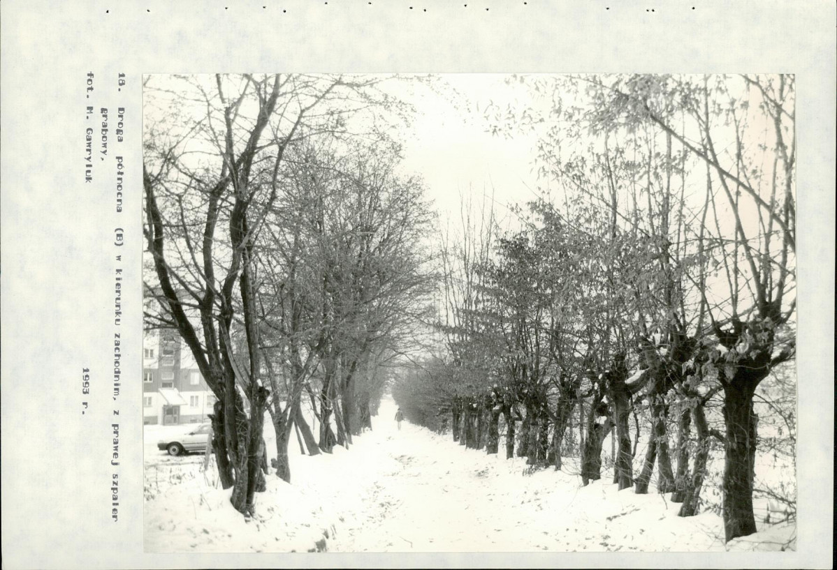 Ewidencja parkowa, skan nr 51