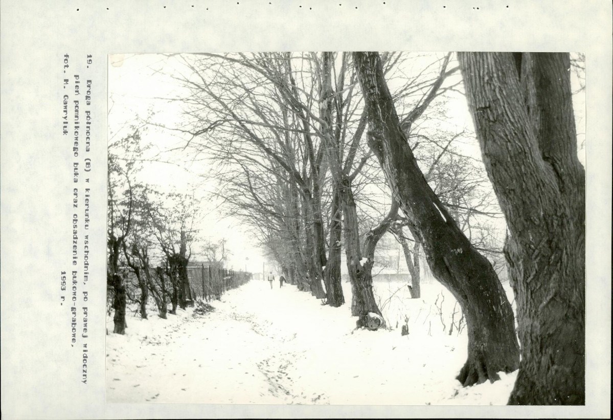 Ewidencja parkowa, skan nr 52