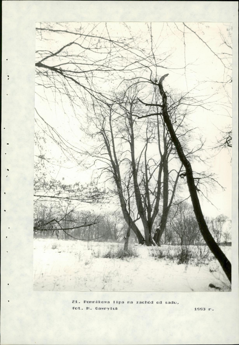 Ewidencja parkowa, skan nr 54