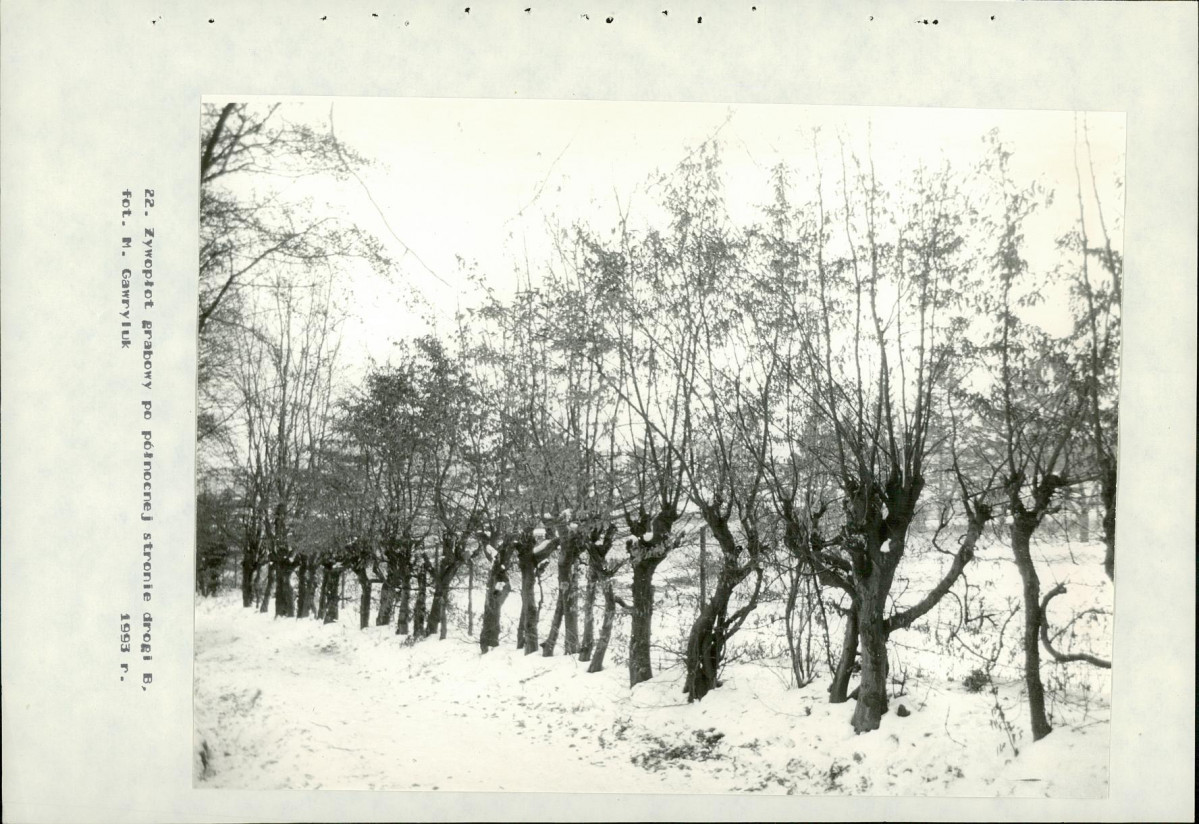 Ewidencja parkowa, skan nr 55
