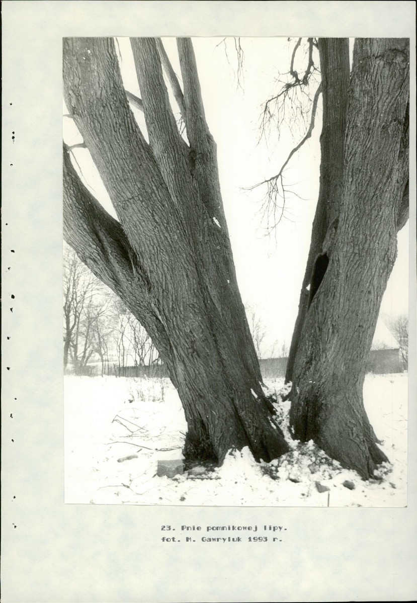 Ewidencja parkowa, skan nr 56