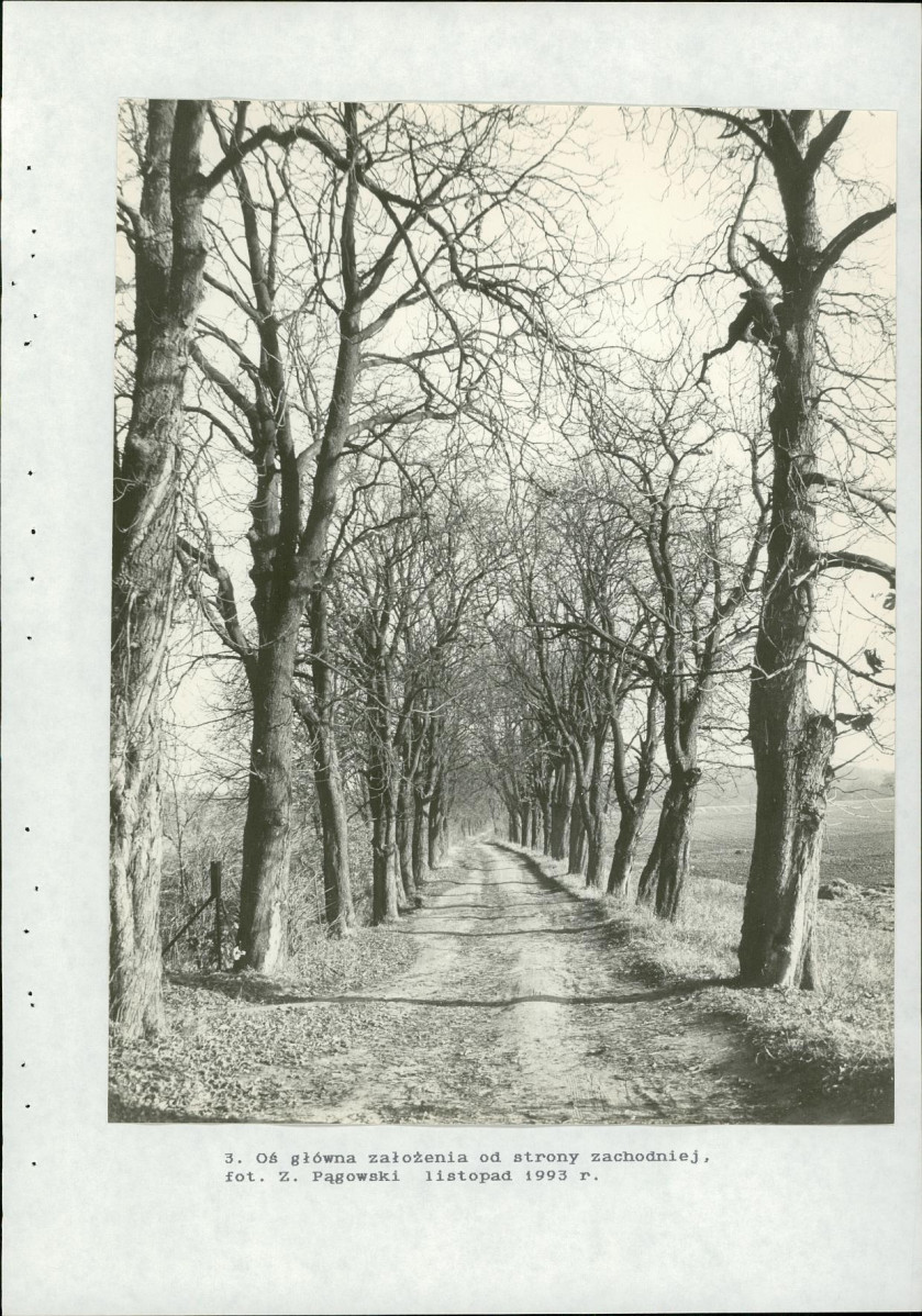 Ewidencja parkowa, skan nr 56